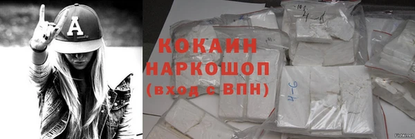 стаф Инта