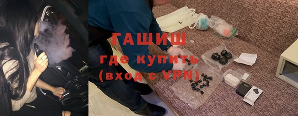 стаф Инта