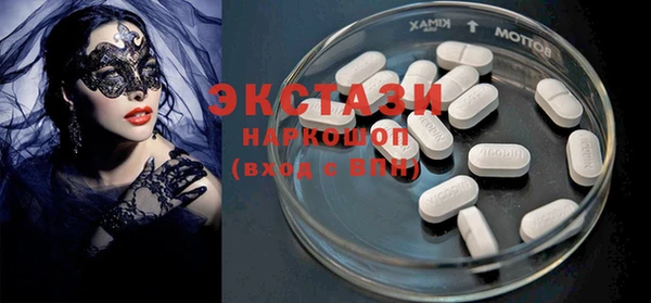 стаф Инта
