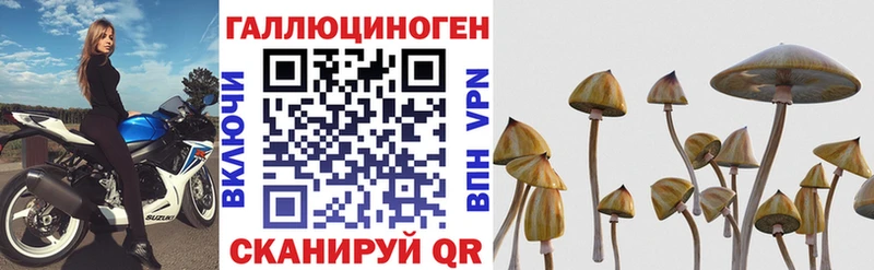 Псилоцибиновые грибы прущие грибы  Купить  Бирюсинск 